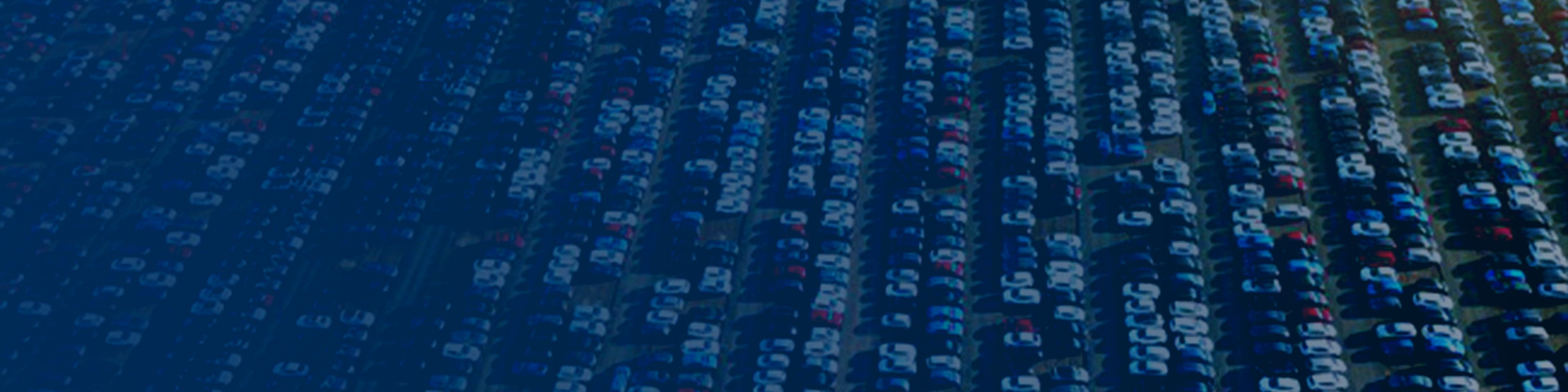 New Managing Director for Remarketing & Vehicle Solutions